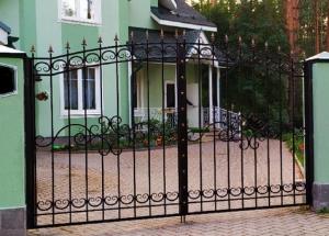 Арт. ПК- 46 </br>Прозрачные Ворота «ОСАТ 1552»